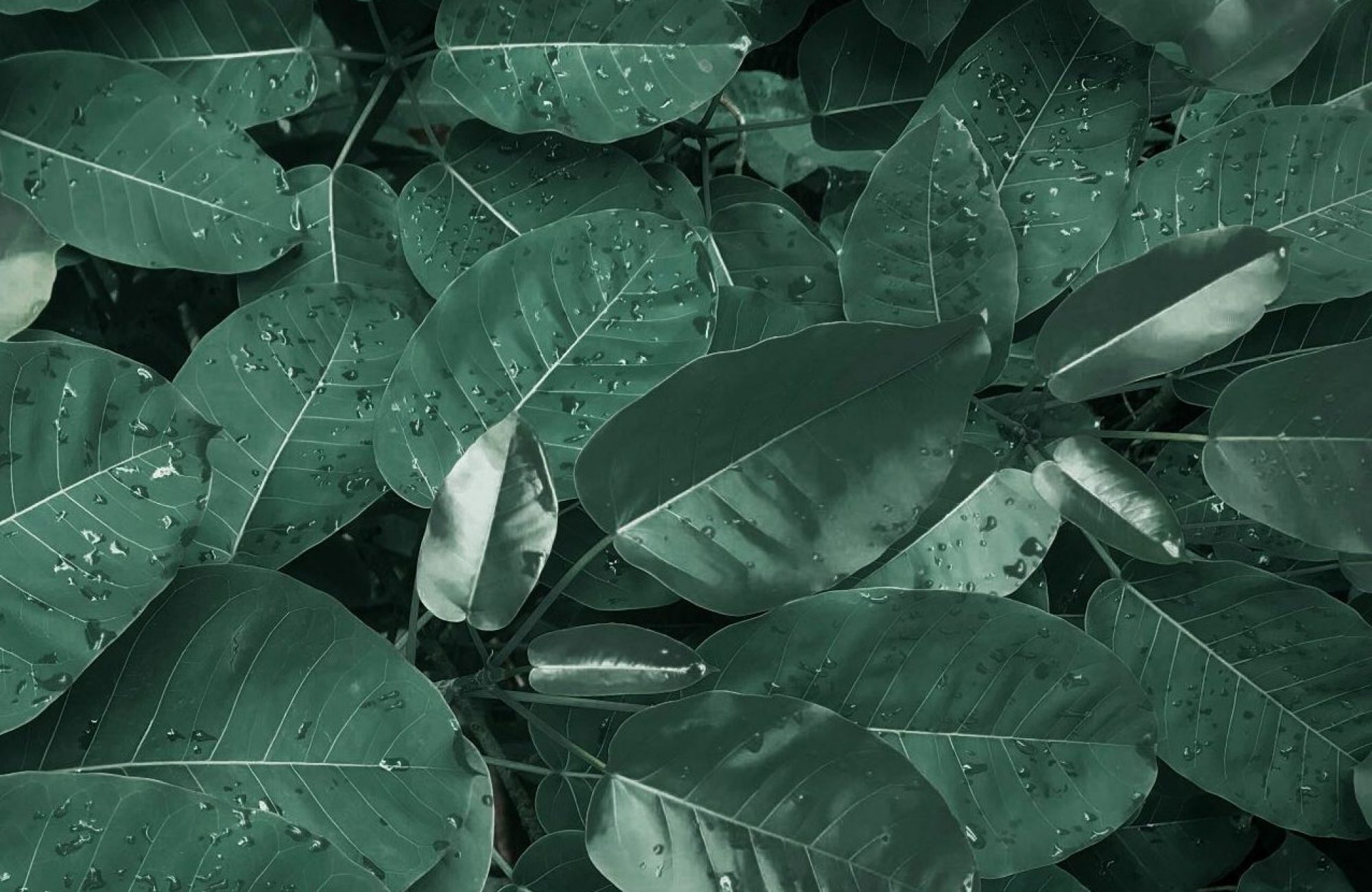 Hallo und herzlich willkommen!