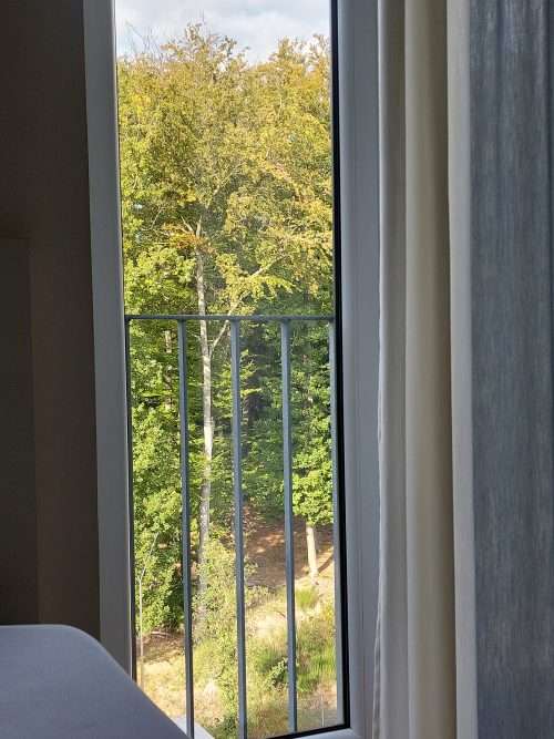 Ausblick aus meinem Zimmer in der Post-Covid Reha