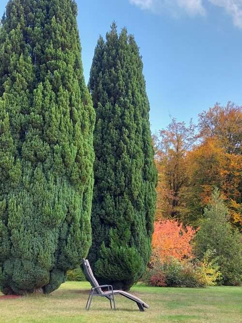 Liegestühl im Park der Post-Covid Reha Klinik