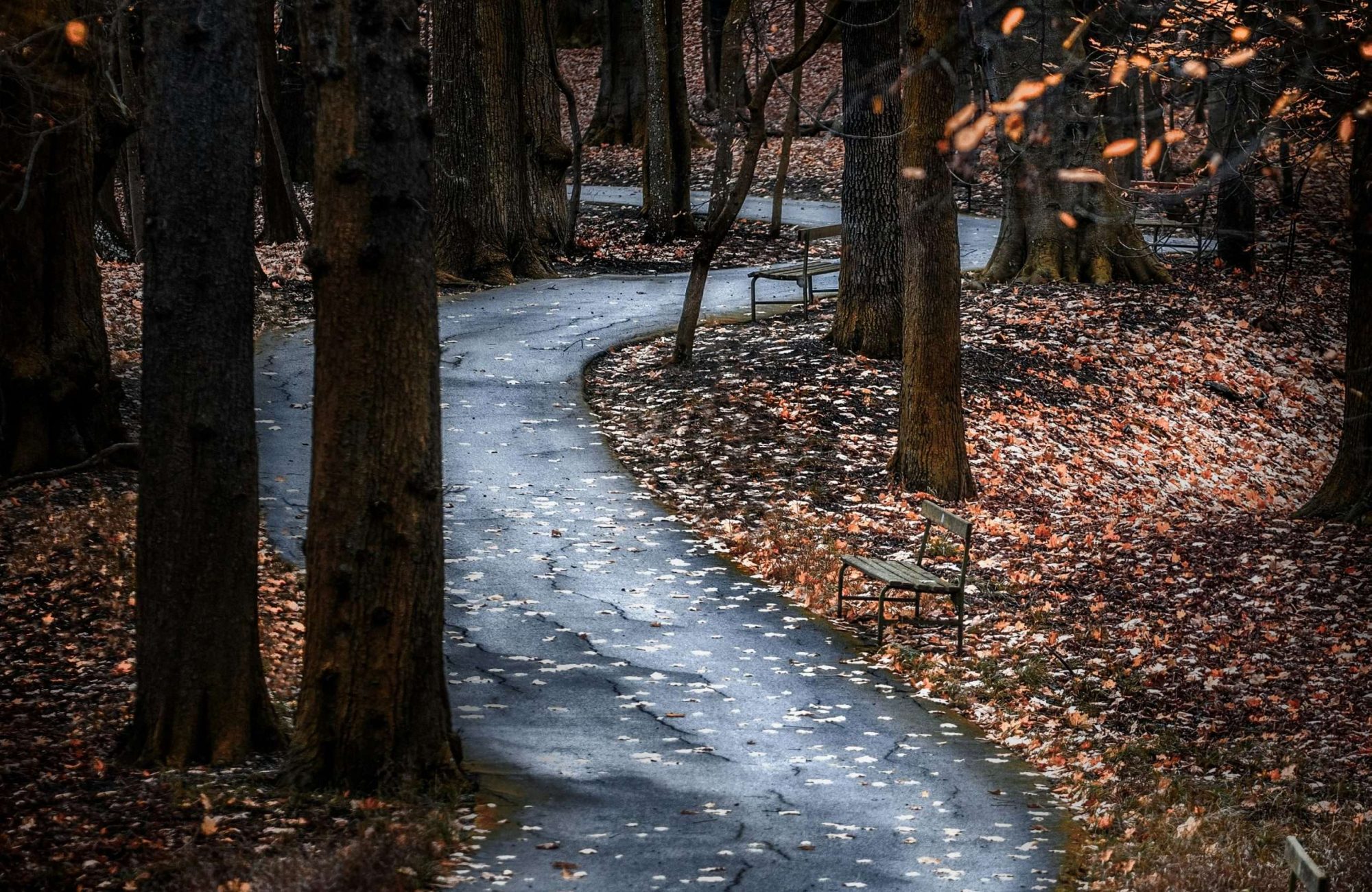 Mit 33 zum Rollator – Warum ich eine Gehhilfe nutze (ME/CFS & Post-Covid)