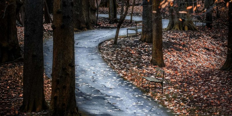 Mit 33 zum Rollator – Warum ich eine Gehhilfe nutze (ME/CFS & Post-Covid)